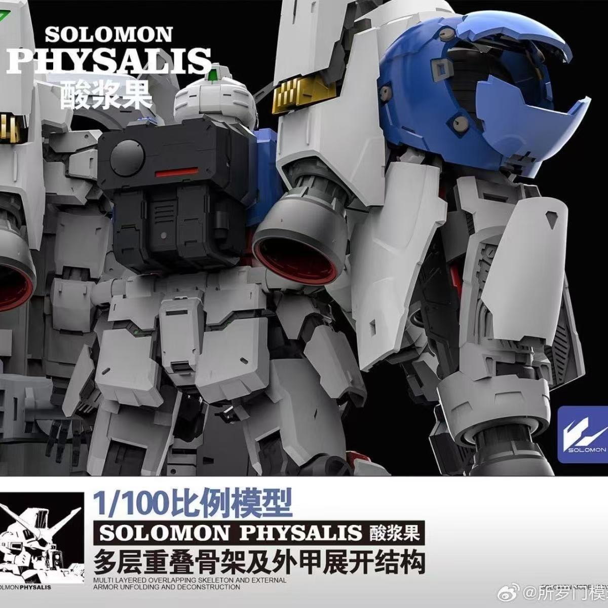 Auf Lager SOLOMON PHYSALIS GP0 – Model Kit Nemesis Bewertung und Preis