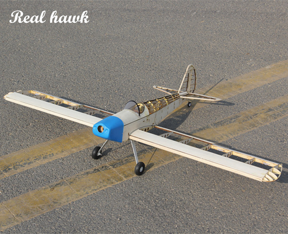 RC Flugzeuge laser geschnitten – Model Kit Airplane Bewertung und Preis