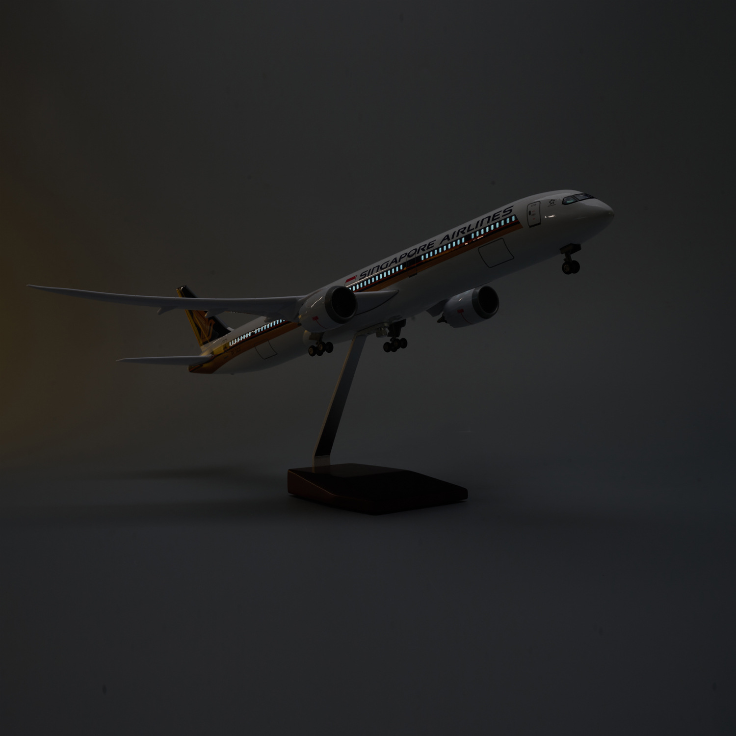 47cm Singapore B787-10 Flugzeu – Model Kit Singapore Bewertung und Preis